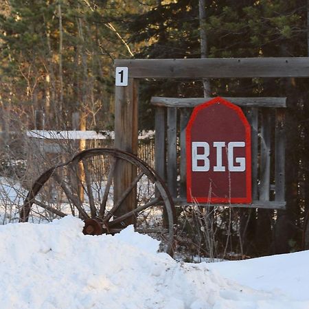 The Big Red Barn Appartement Whitehorse Buitenkant foto