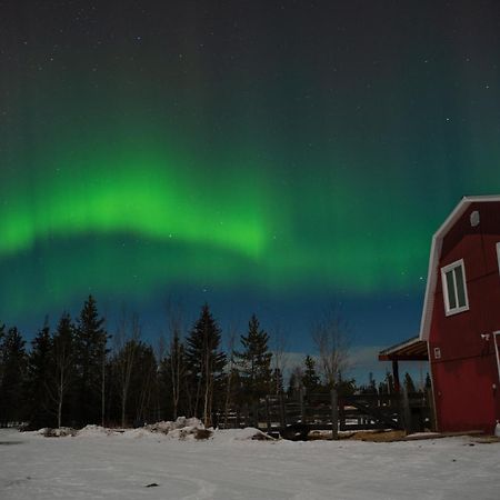 The Big Red Barn Appartement Whitehorse Buitenkant foto