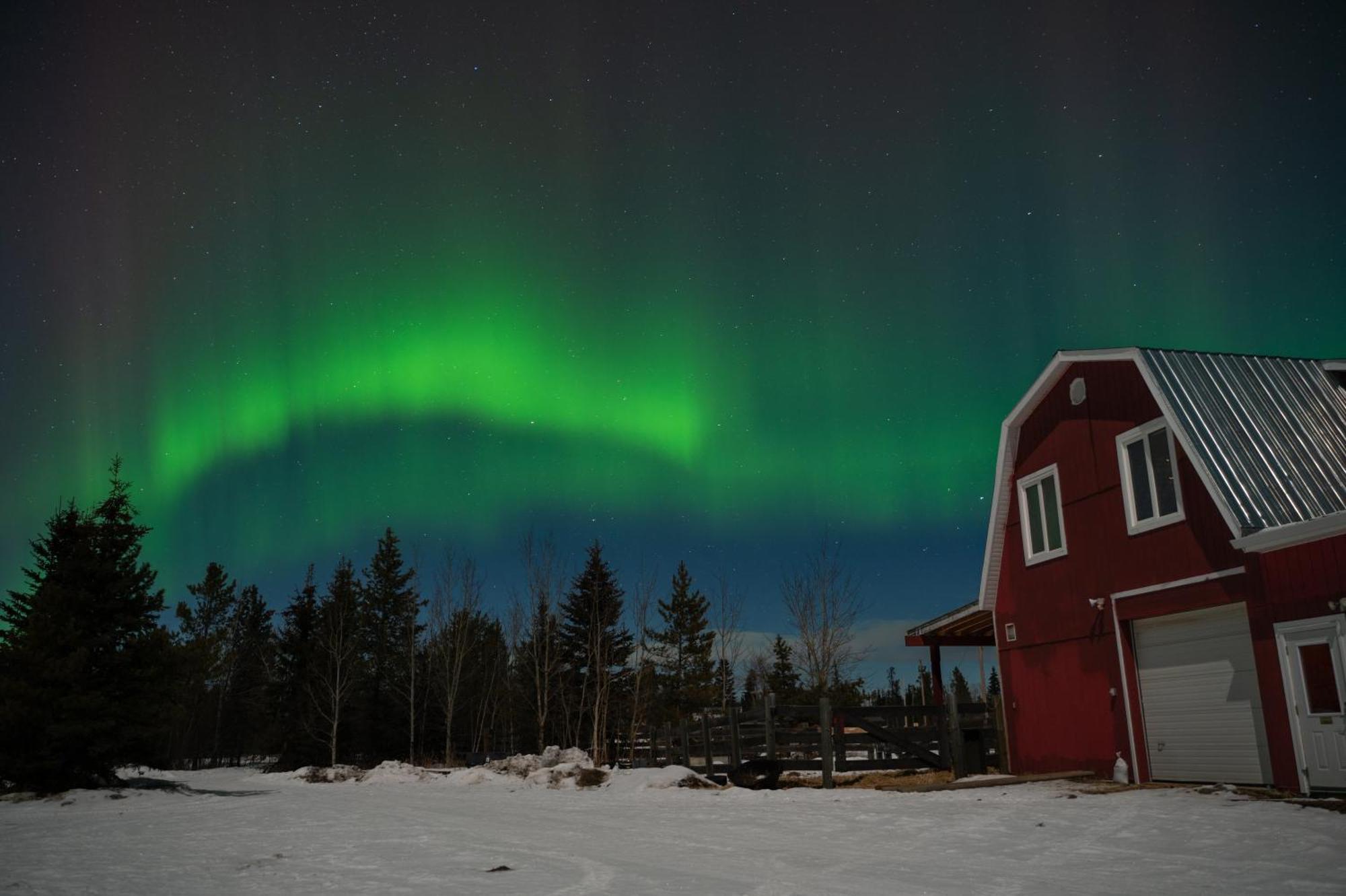 The Big Red Barn Appartement Whitehorse Buitenkant foto